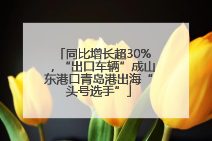 同比增长超30%，“出口车辆”成山东港口青岛港出海“头号选手”